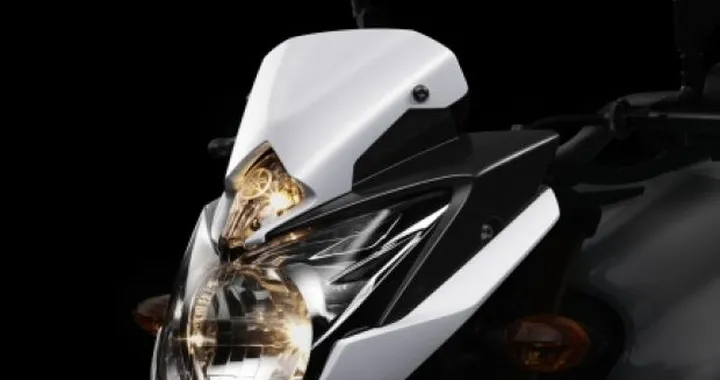 Anteprima: Yamaha FZ8 2010