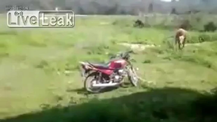 Scooterista fortunato sfugge alla morte per pochi centimetri [video]