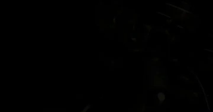 Rossi e Lorenzo debuttano sulla Yamaha M1 2013