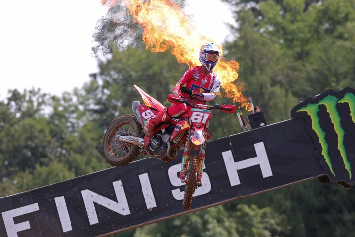 ingrandisci immagine