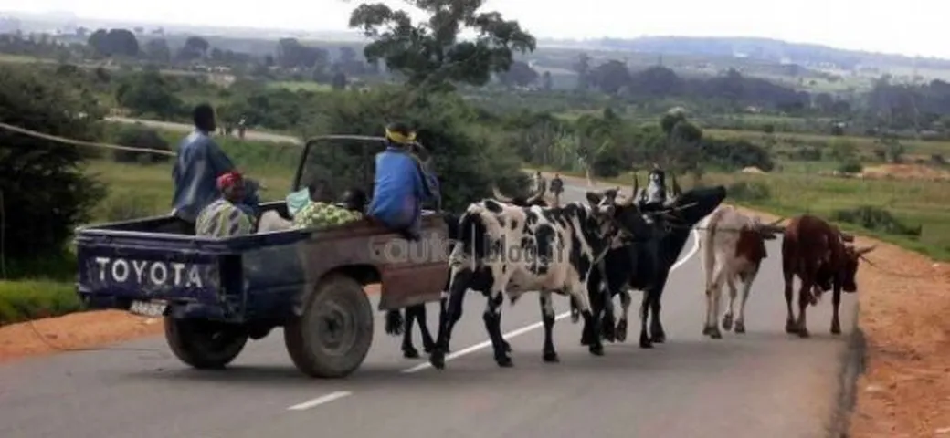 Rubrica auto Epic Win: pick-up Toyota a trazione... animale