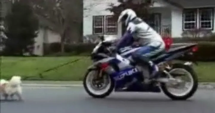 Video Pubblicità Suzuki GSX-R 1000