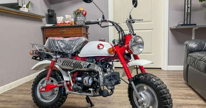 Honda Z50 Monkey: l’icona intramontabile che vale una fortuna