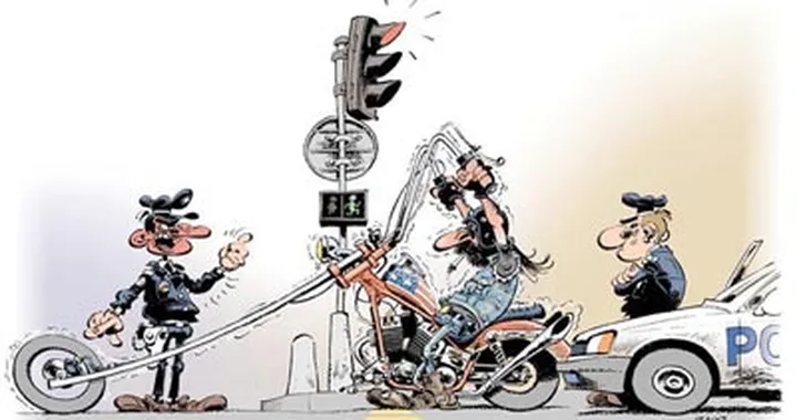 Legge 168/2005 - Panico generale