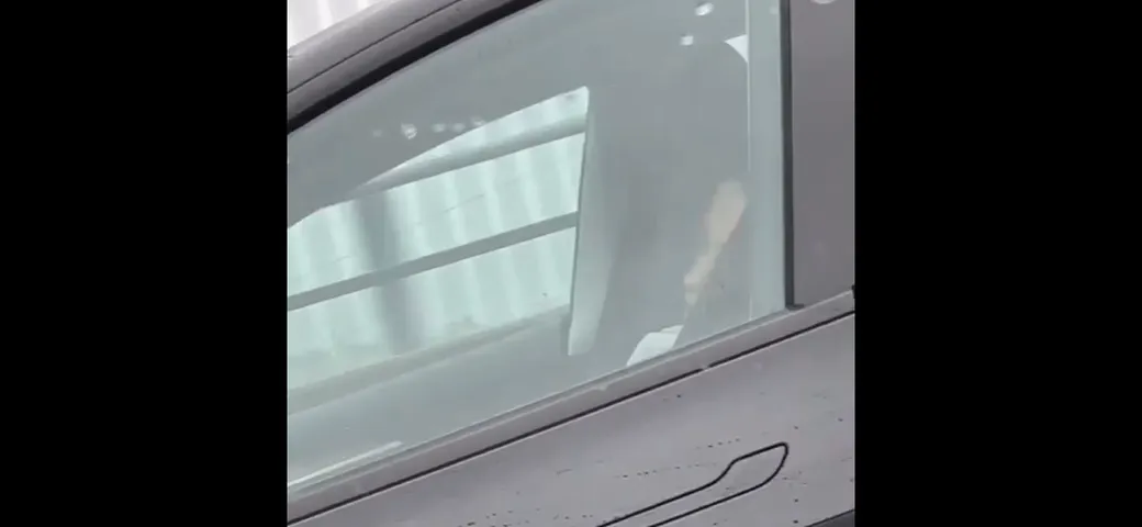 Ragazza si addormenta al volante della Tesla [Video]