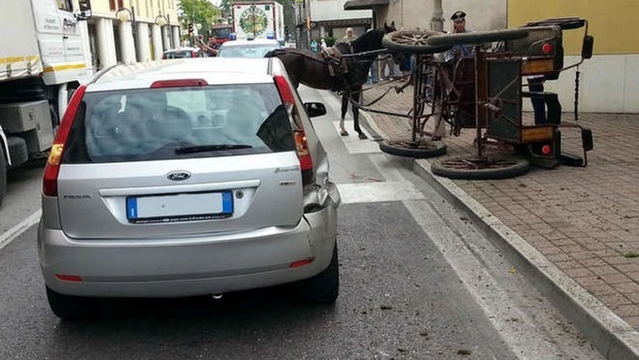 La Ford Fiesta nuova? Distrutta da un cavallo imbizzarrito