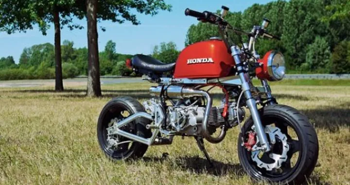 Honda Monkey: una piccola moto adatta per il divertimento