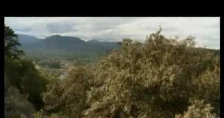 Video BMW Motorrad GS experience in Sardegna