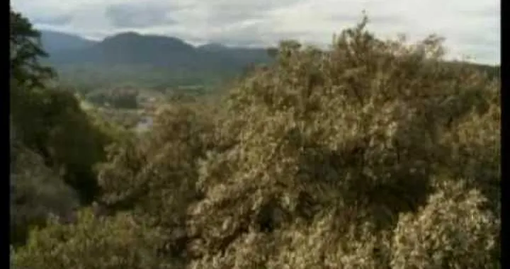 BMW Motorrad GS experience in Sardegna