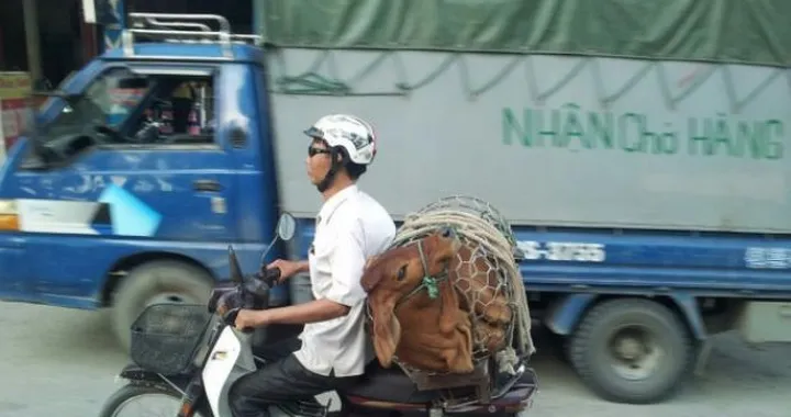 Foto del giorno: trasporto eccezionale