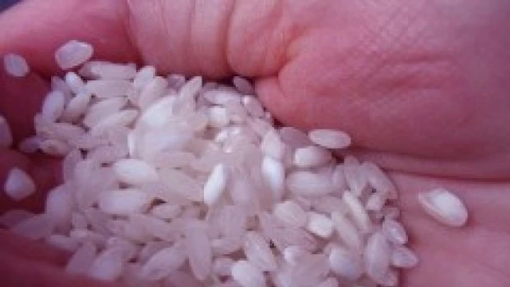 Giappone: Bioetanolo ricavato dal riso
