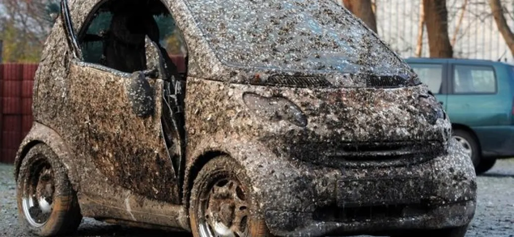 Venduta per 1.100 euro la Smart rimasta per sette anni in fondo al mare