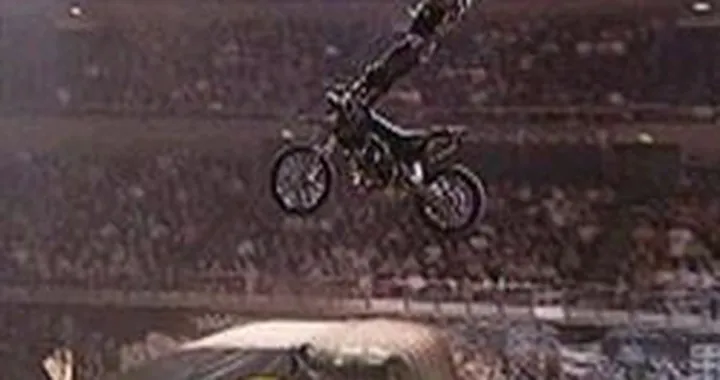 Night riders a Pesaro