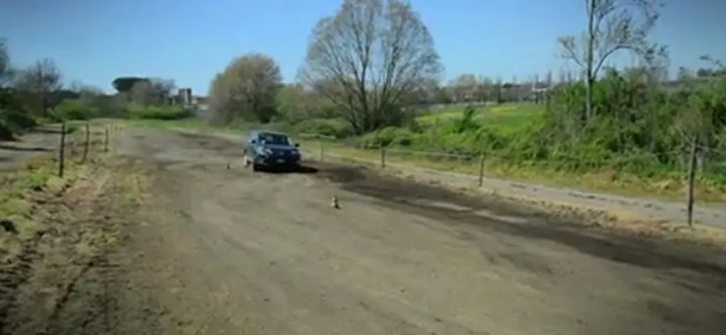 Toyota RAV4: il test in circuito offroad
