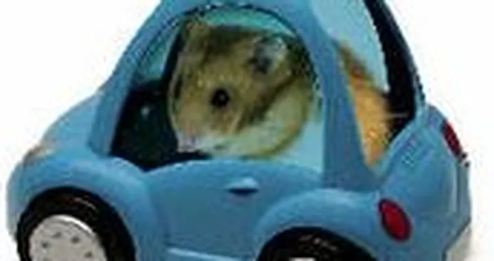 Auto per criceti