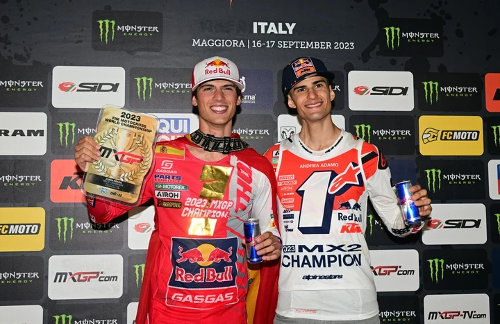 ingrandisci immagine