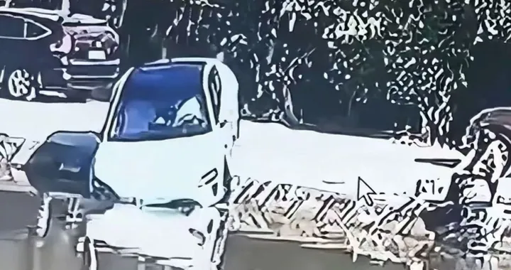 La guida autonoma fallisce, il parcheggio automatico finisce nel lago