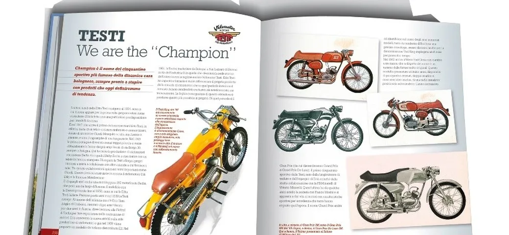 Libro: Febbre a 50