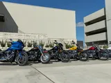 Harley-Davidson stravolge le Softail: sei nuovi modelli per dominare la strada