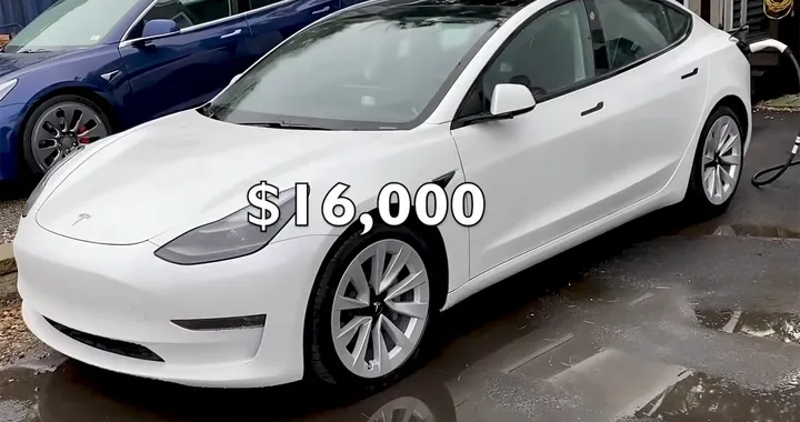 Tesla chiede 16.000 dollari per le riparazioni, lui se la cava con 700 dollari