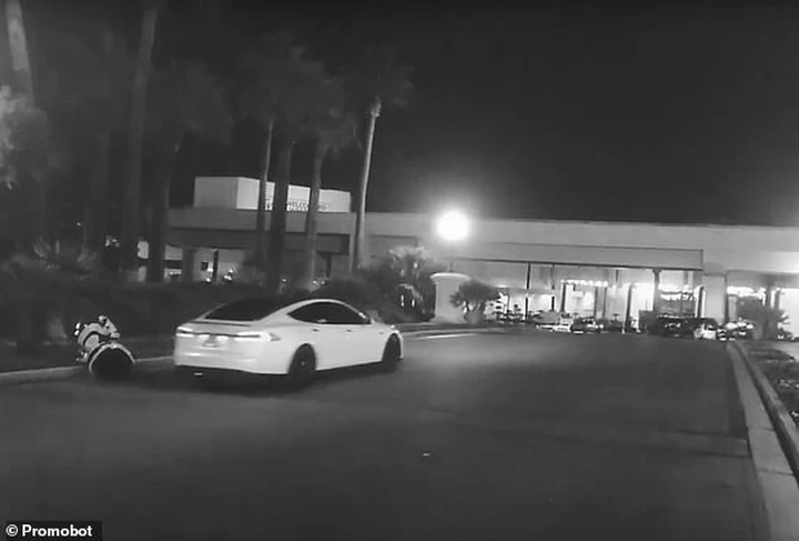 Tesla Model S con Autopilot investe un robot. Fake o realtà?