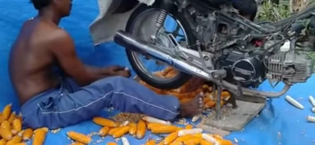 Come usare la moto per sbucciare le pannocchie [Video]