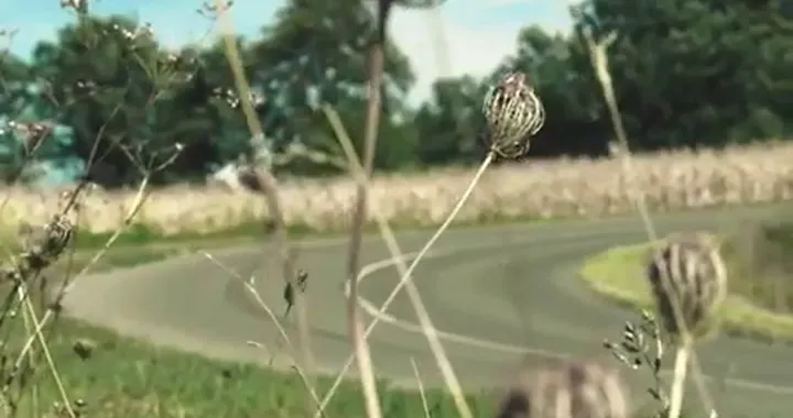 Attila Palatinus il Re dei traversi