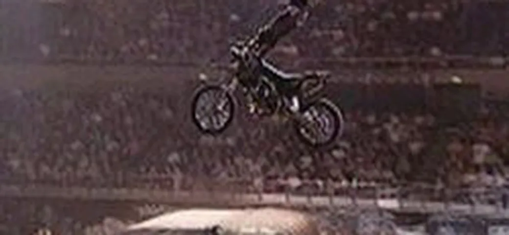 Night riders a Pesaro