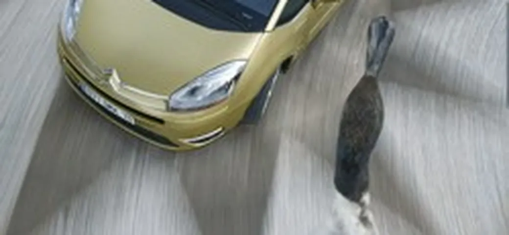 C4 Picasso, altri dati e immagini