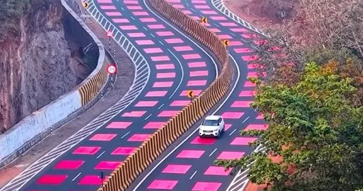 Una strada dipinta di rosso per proteggere la fauna: un'idea che arriva da lontano