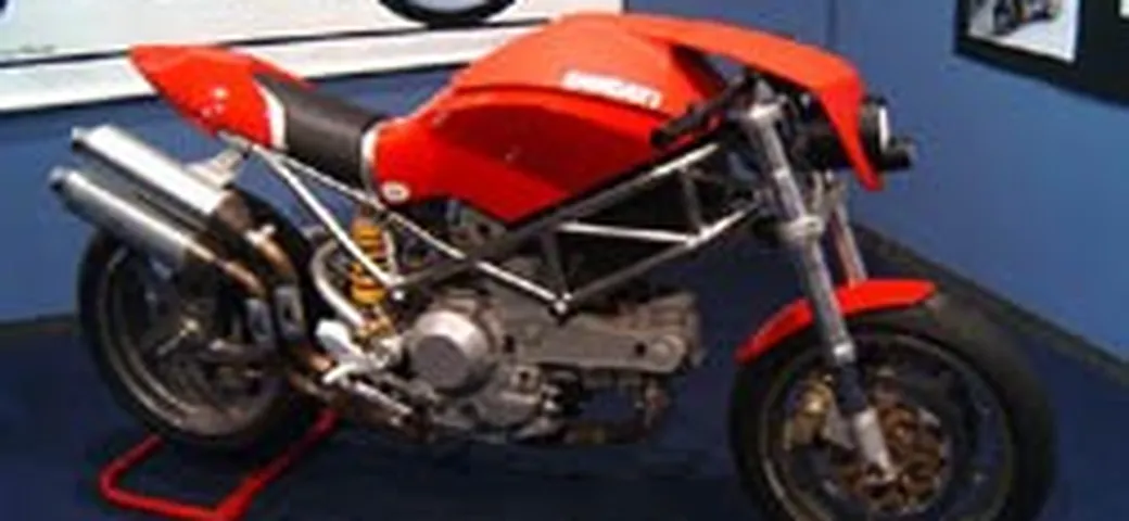 Studio dell'evoluzione del Monster
