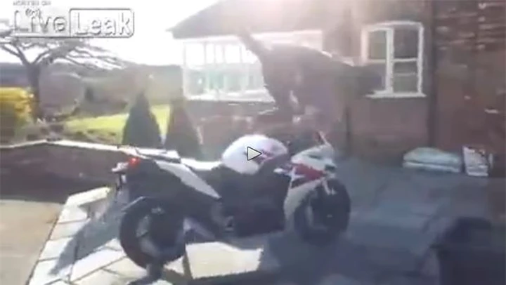 Motociclista mette la prima e... spicca il volo [video]