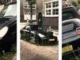 La natura si prende gioco di una Porsche: scempio in un parcheggio