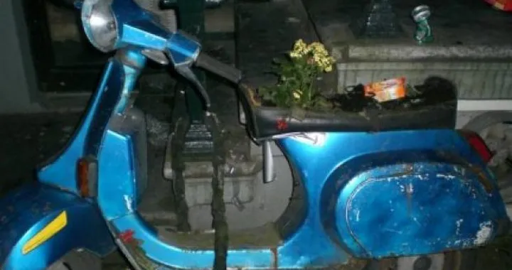 Foto del giorno: la Vespa e le "piantine"