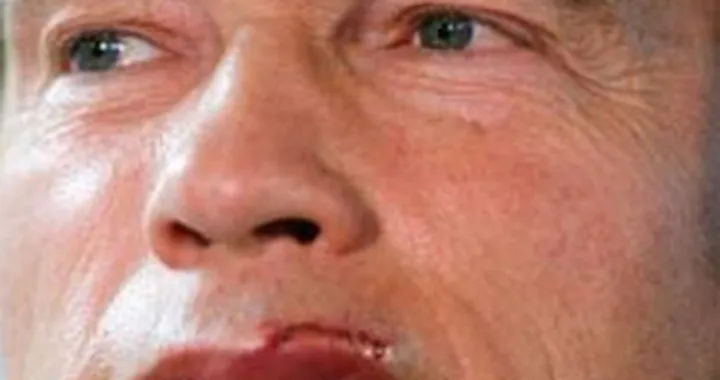 Terminator a scuola guida