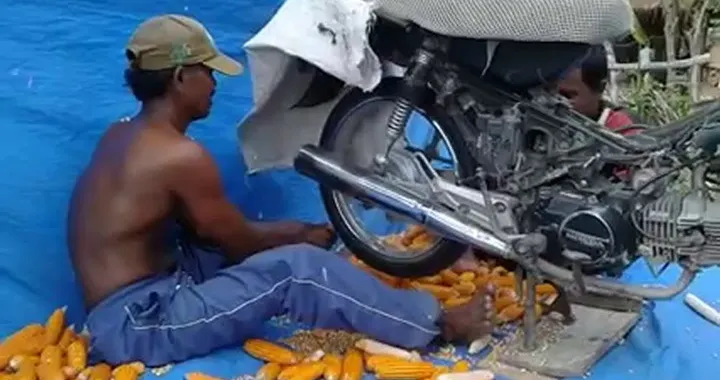Sbucciare le pannocchie con la moto