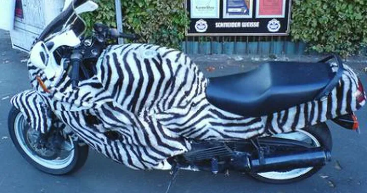 Foto del giorno: la motozebra