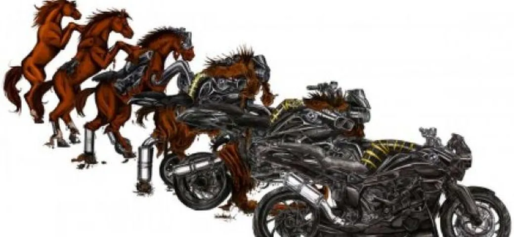 Foto del giorno: la naturale evoluzione del cavallo