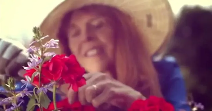 Honda Mean Mower progetto realizzato da Honda e dai tecnici del BTCC