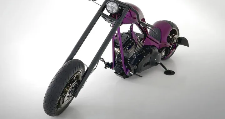 Harley-Davidson Softail "The Giraffe" by Bundnerbike