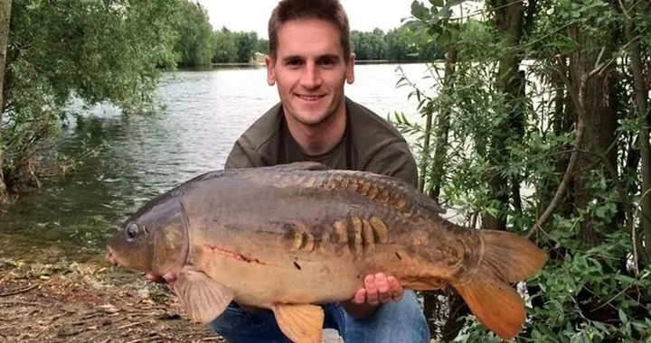 Twitterando: i Top 5 tweets della settimana dal mondo delle moto