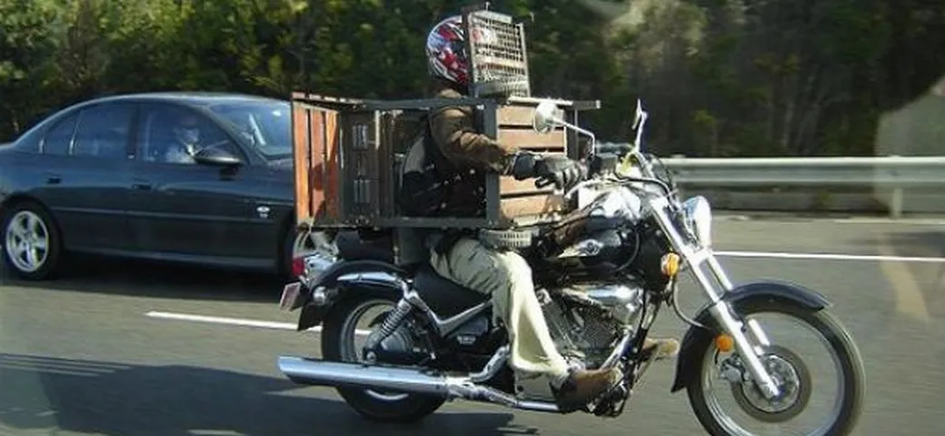 Guida la moto con un barbeque in testa: 800 dollari di multa