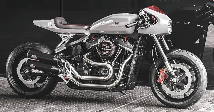 H-D Softail Fat Bob "BT-03" by Blacktrack