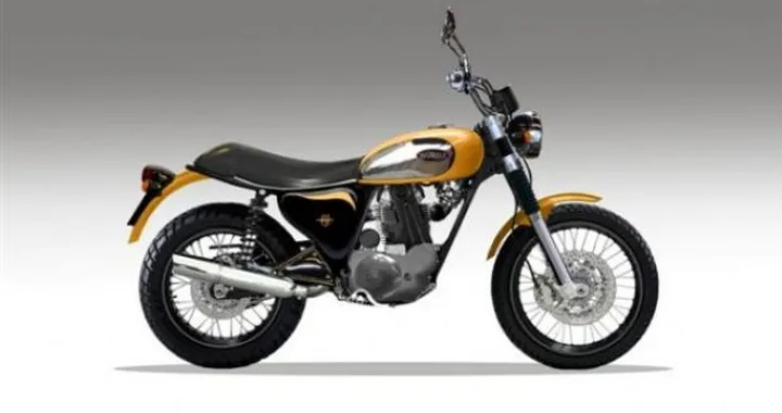 Anteprima Borile B450Scrambler 2012