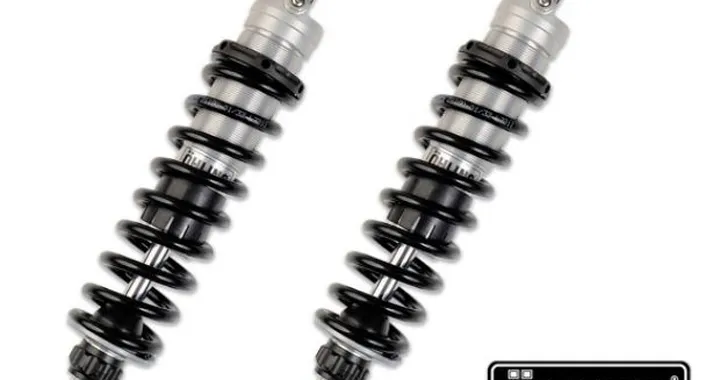 Ohlins per Harley-Davidson V-Rod