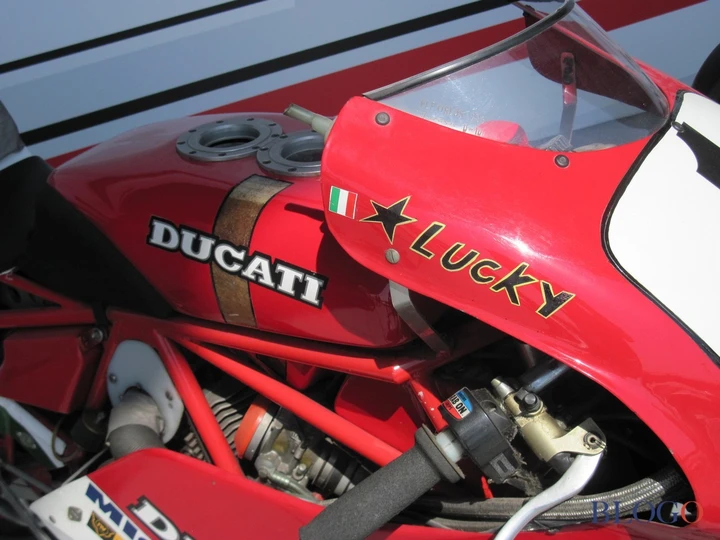 ingrandisci immagine