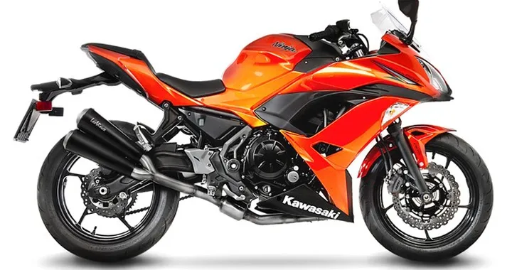 LeoVince GP Duals per Kawasaki Z650/Ninja 650