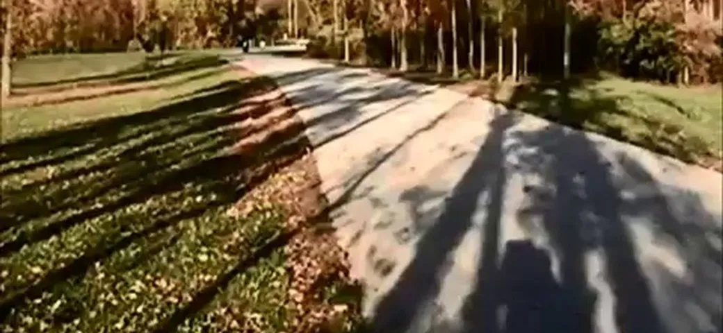 La Suzuki VX800 con motore da motoslitta
