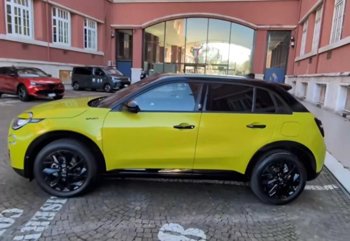 ingrandisci immagine