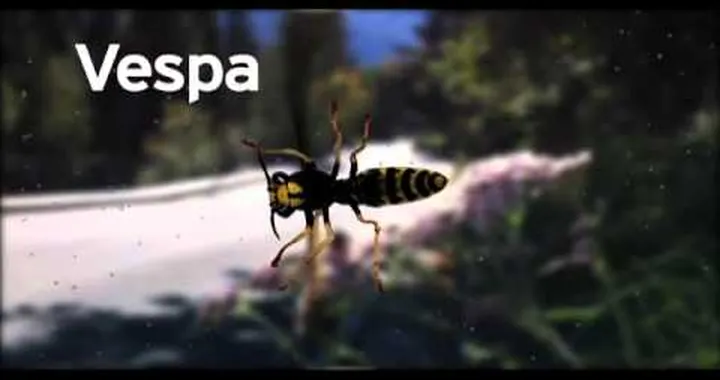 Vurb Select Fermo GP ft Herlings / Searle / Pourcel - vurbmoto